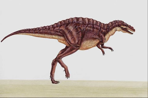 Acrocanthosaurus