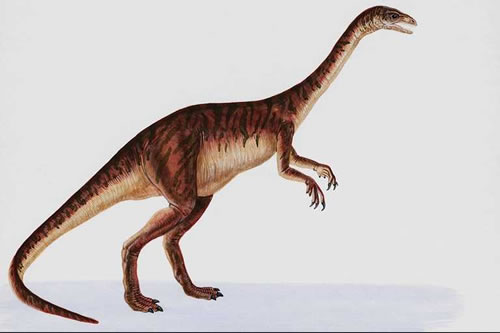 Anchisaurus