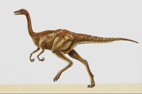 Archaeornithomimus