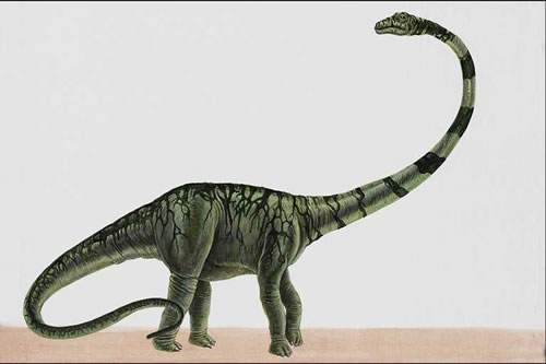 Barosaurus