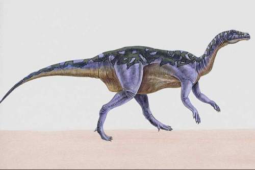 Camptosaurus