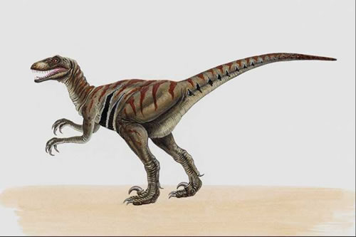 Deinonychus