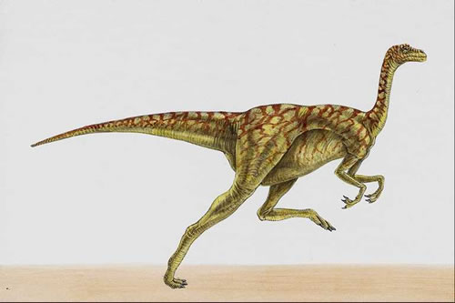 Dromiceiomimus