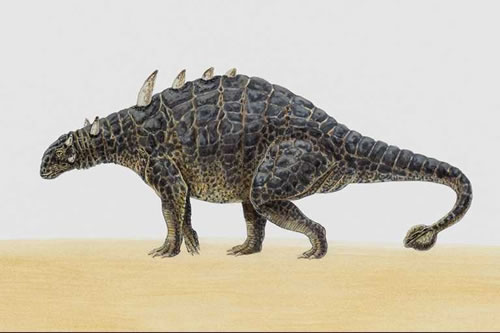 Euoplocephalus