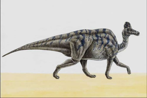 Hypacrosaurus