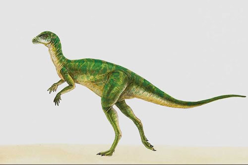Hypsilophodon