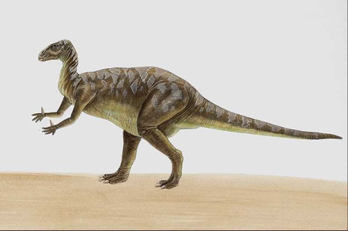 Iguanodon