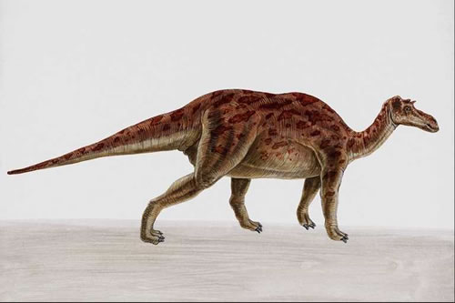 Maiasaura