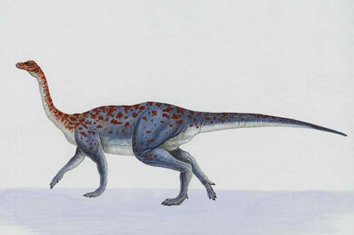 Massospondylus