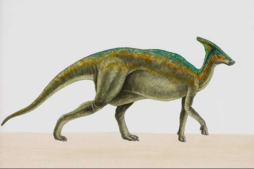 Parasaurolophus