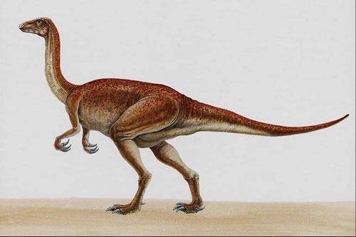 Segnosaurus