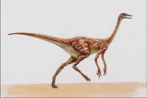 Struthiomimus