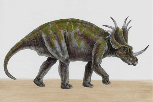 Styracosaurus