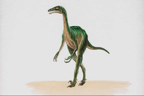 Troodon