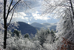 Winter in New England