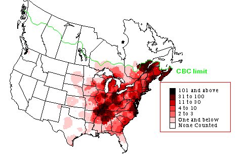 American Black Duck Winter Map