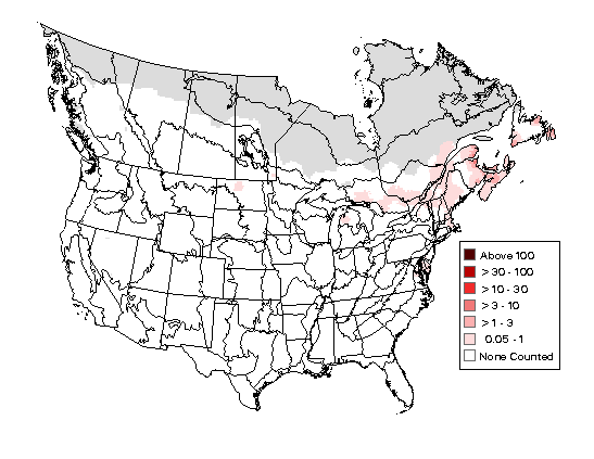 American Black Duck Breeding Map