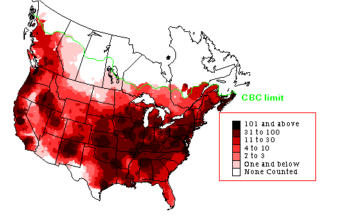 American Crow Winter Map