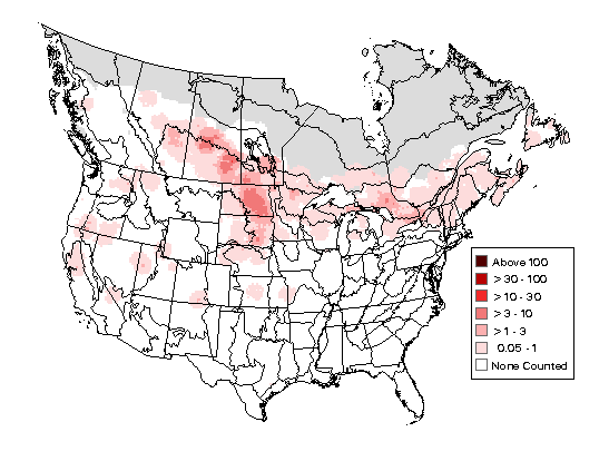 American Bittern Breeding Map