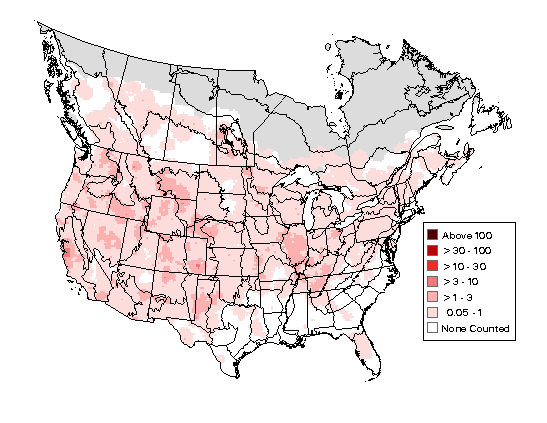 American Kestrel Breeding Map