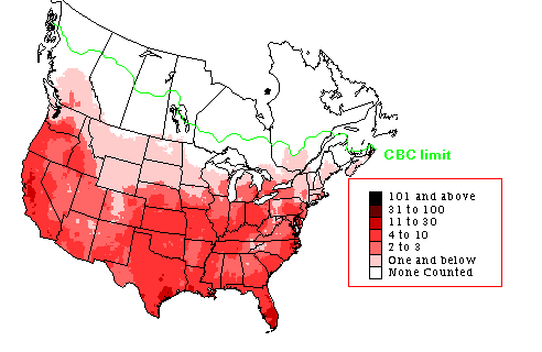 American Kestrel CBC Range Map