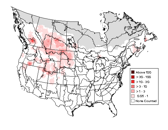 American Wigeon Breeding Map