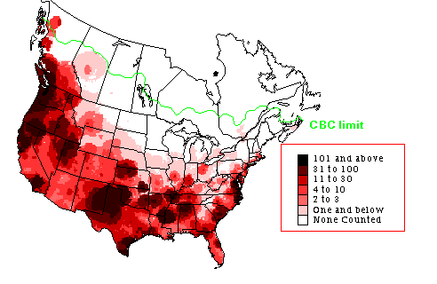 American Wigeon Winter Map