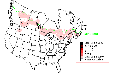 Black-backed Woodpecker Winter Map