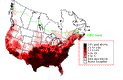 Brown-headed Cowbird Winter Map