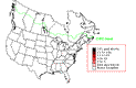 B-Throated  Blue Warbler Winter Map