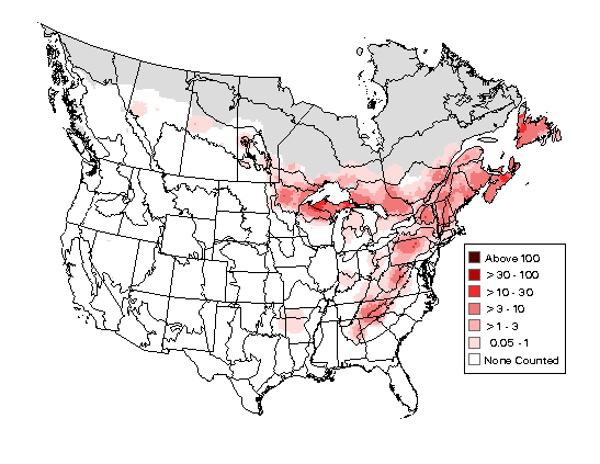 Black-throated Green Warbler Breeding Map
