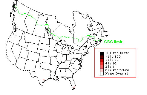Black-throated Green Warbler Winter Map