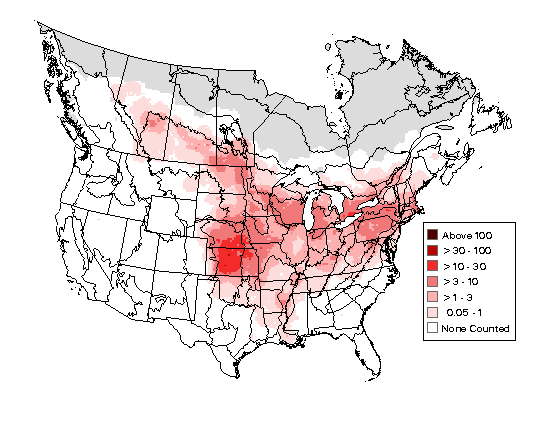 Baltimore Oriole Breeding Map