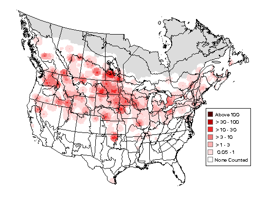 Bank Swallow Breeding Map