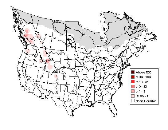 Barrow's Goldeneye Breeding Map