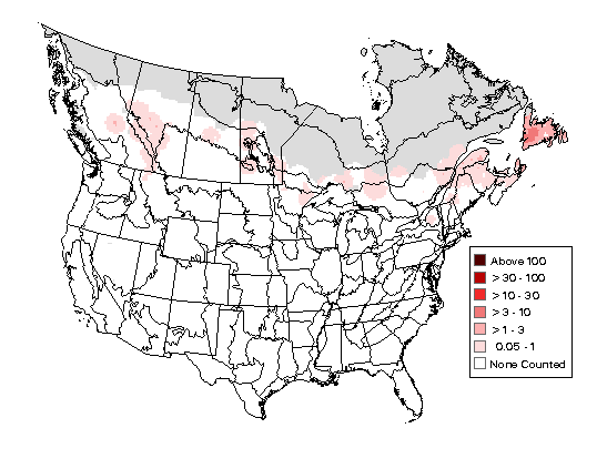 Boreal Chickadee Breeding Map