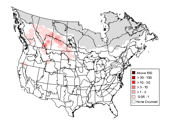 Bufflehead Breeding Map