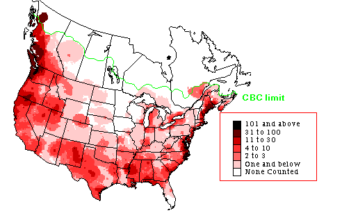 Bufflehead Winter Map