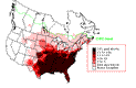 Common Grackle Winter Map