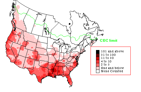 Wilson's Snipe Winter Map