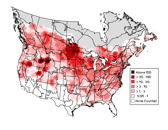 Canada Goose Breeding Map