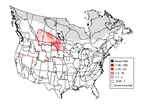 Canvasback CBC Map