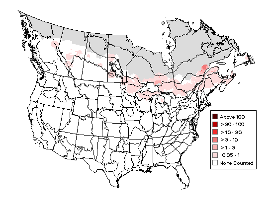 Cape May Warbler Breeding Map