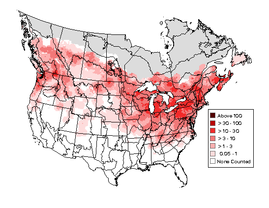 Cedar Waxwing Breeding Map