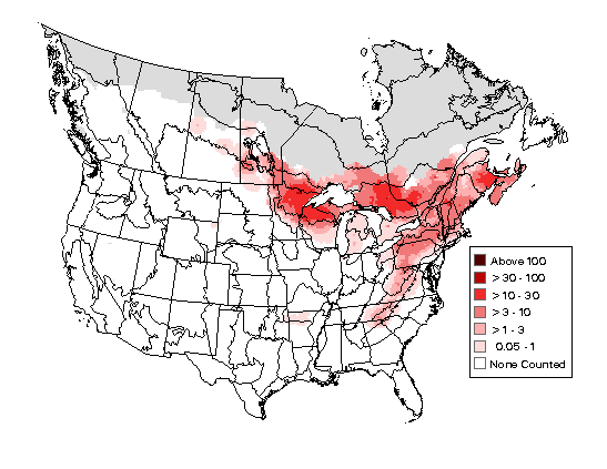 Chestnut-sided Warbler Breeding Map