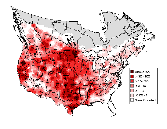 Cliff Swallow Breeding Map