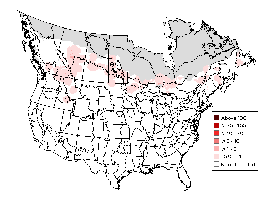 Common Goldeneye Breeding Map