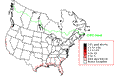 Common Tern Winter Map