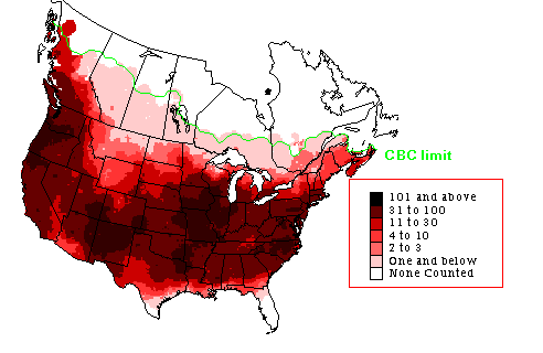 Dark-eyed Junco CBC Map