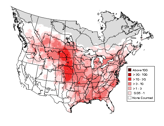 Eastern Kingbird Breeding Map
